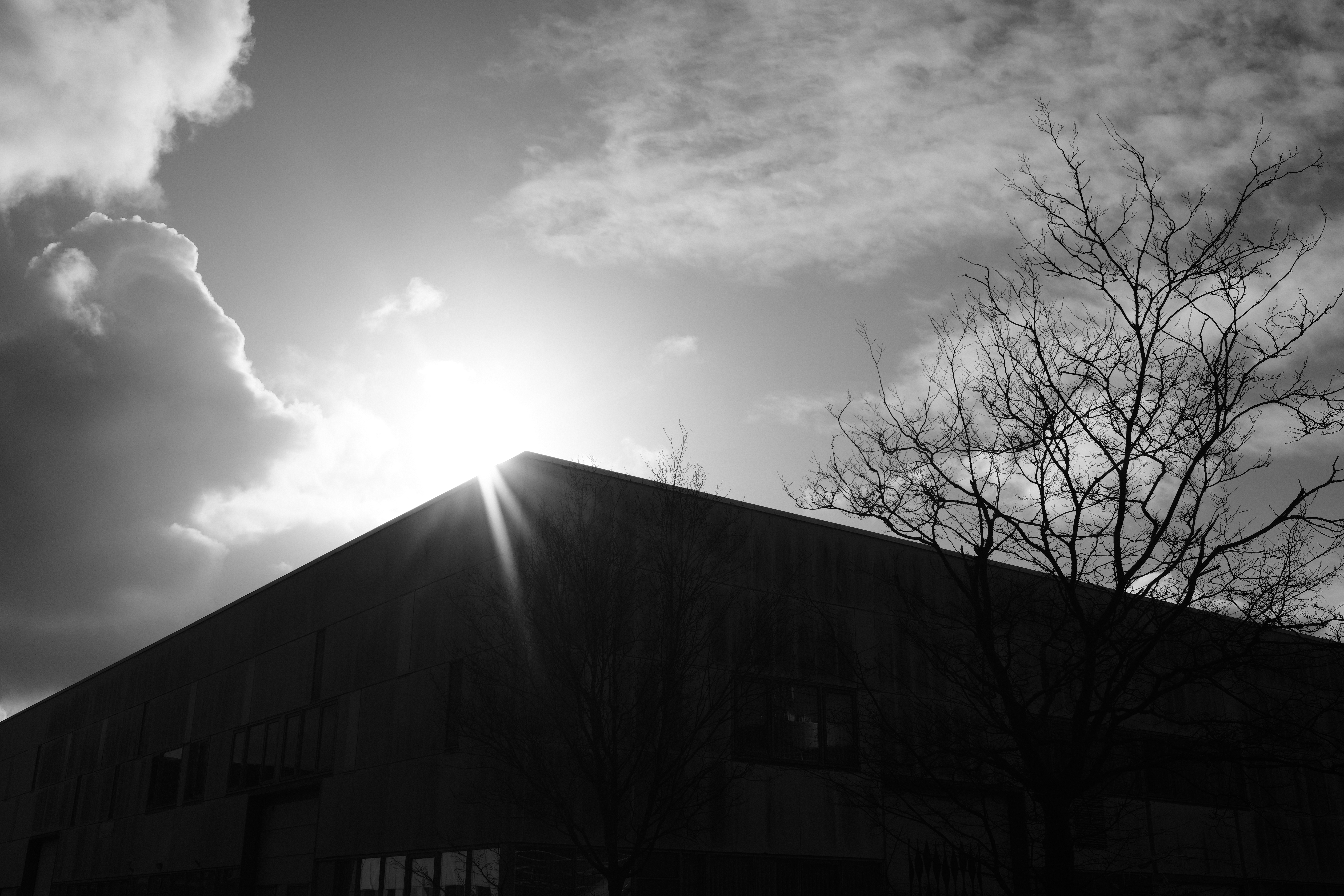 bw5