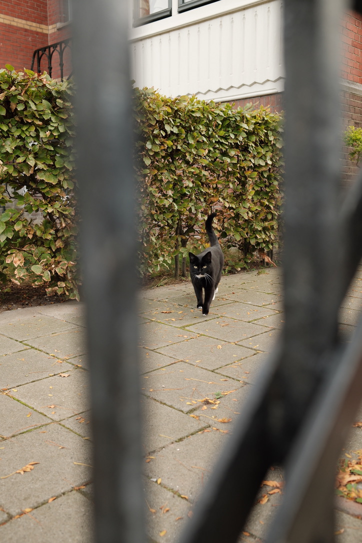 photowalk-3