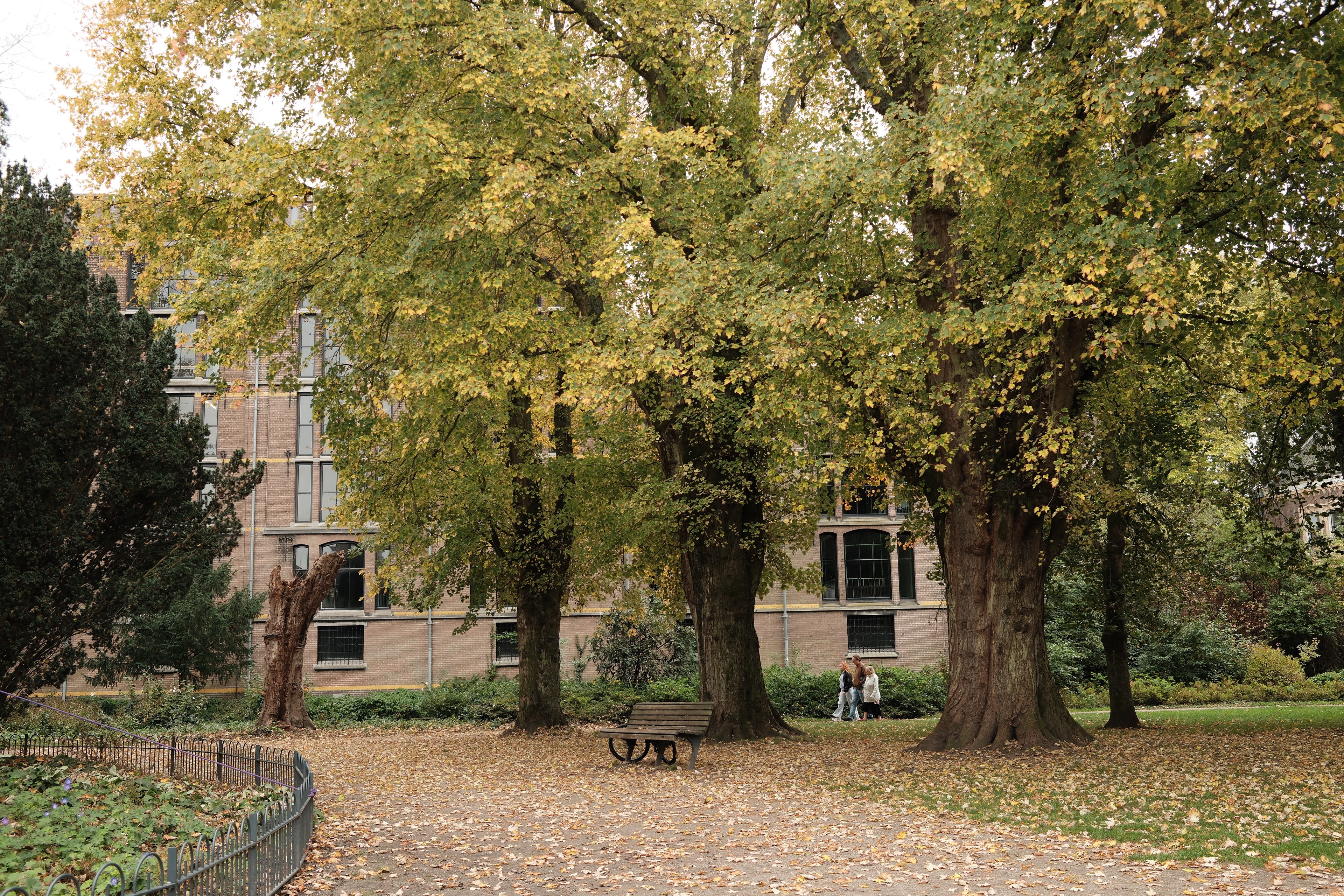 fall-walk-20