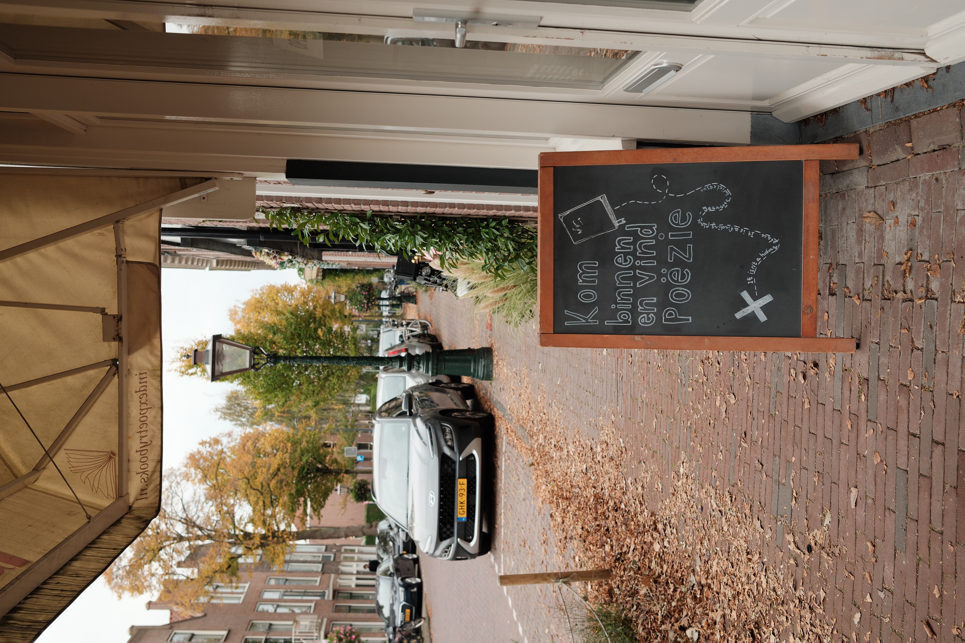 fall-walk-21