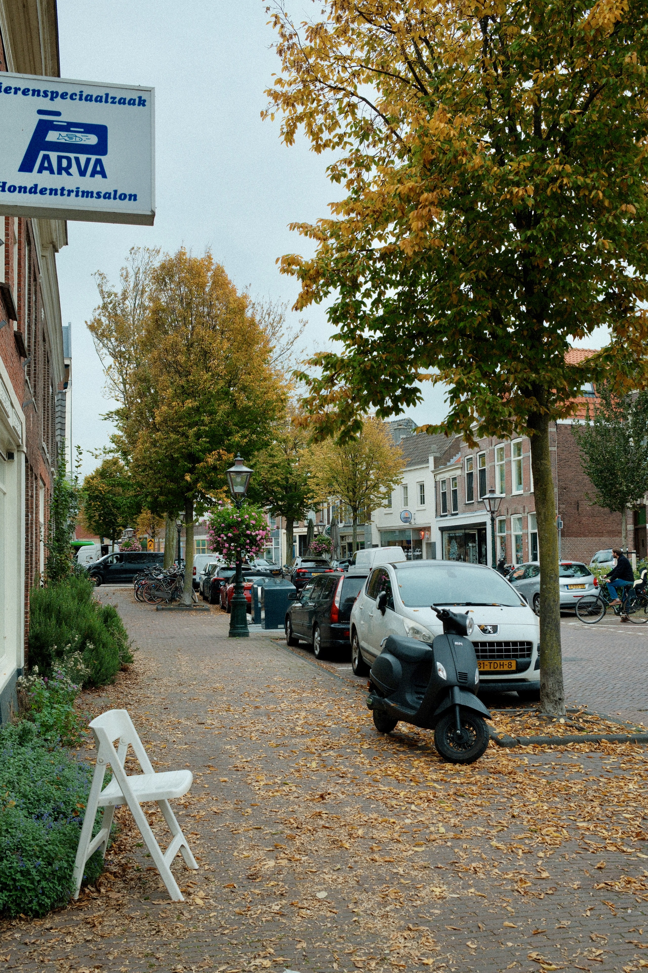 fall-walk-3