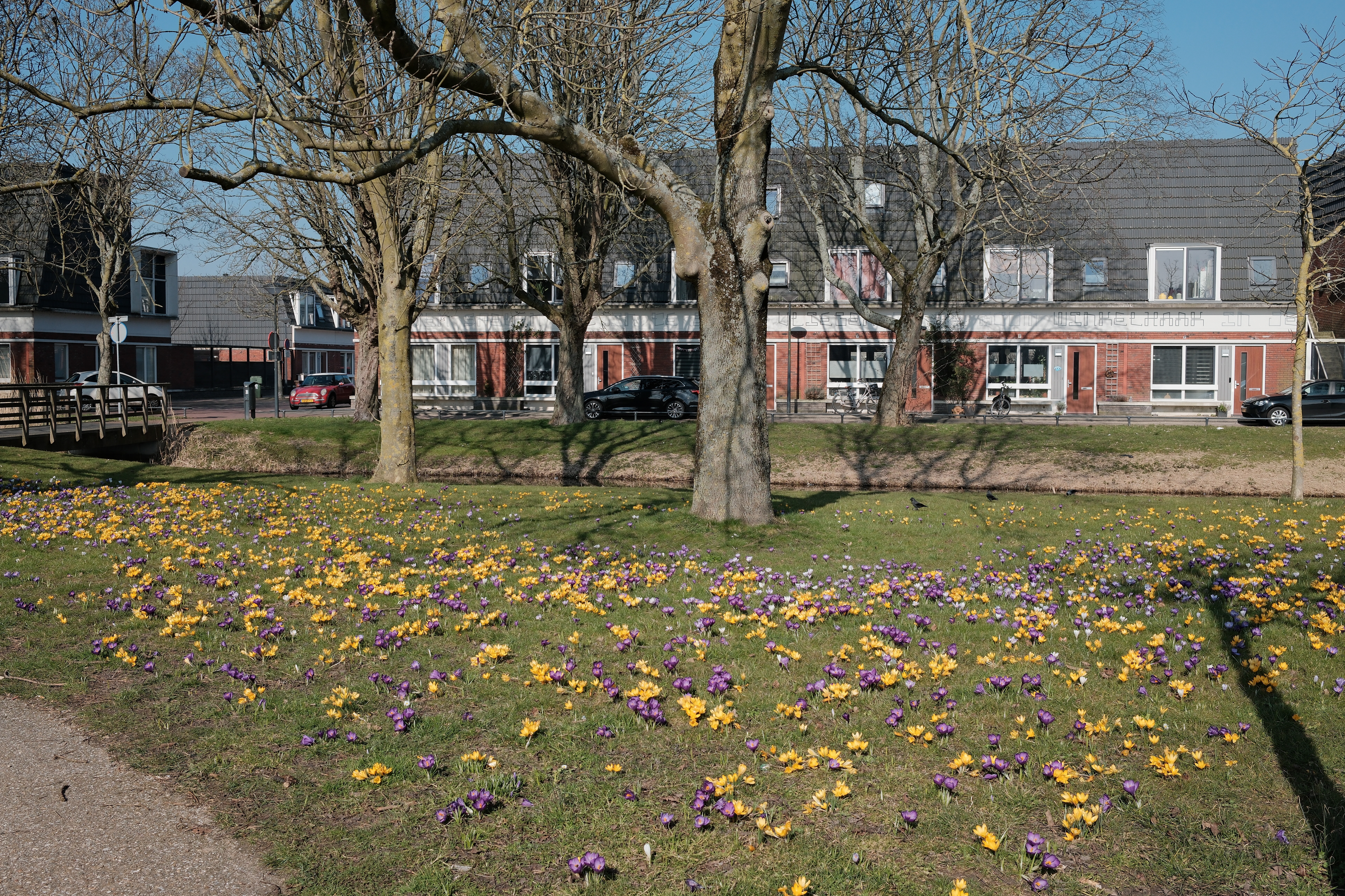 spring-11