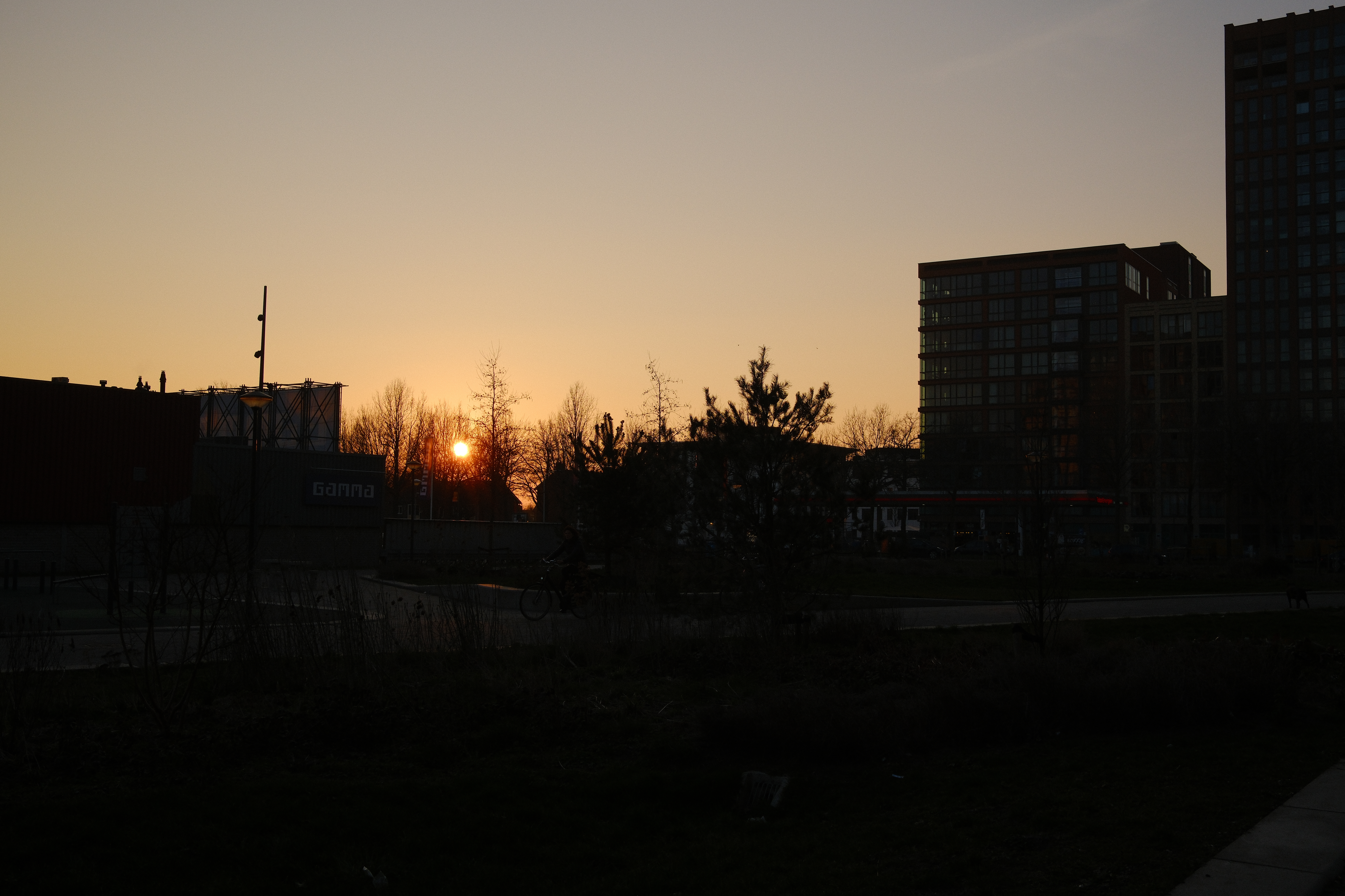 spring-12