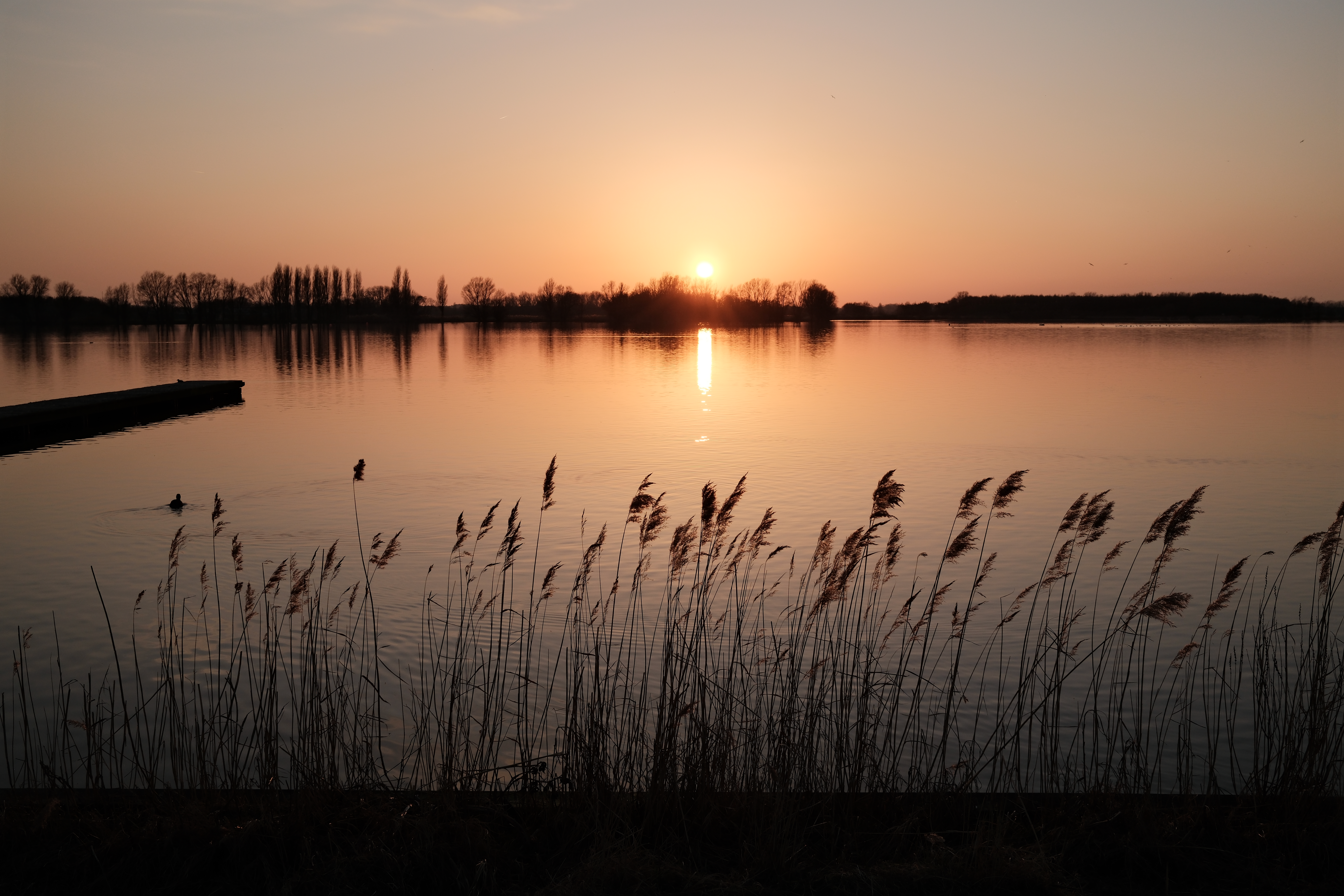 spring-22