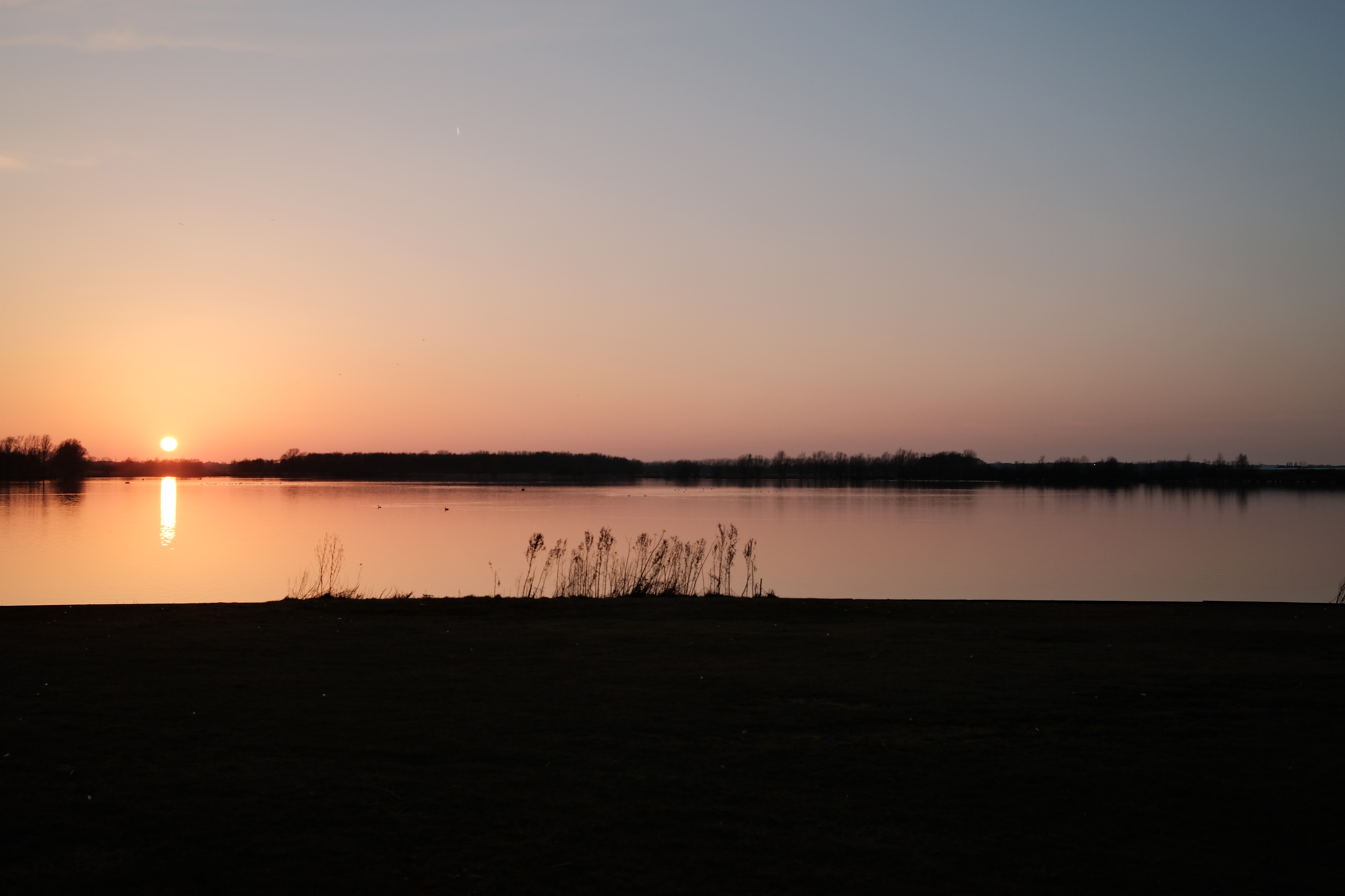 spring-24