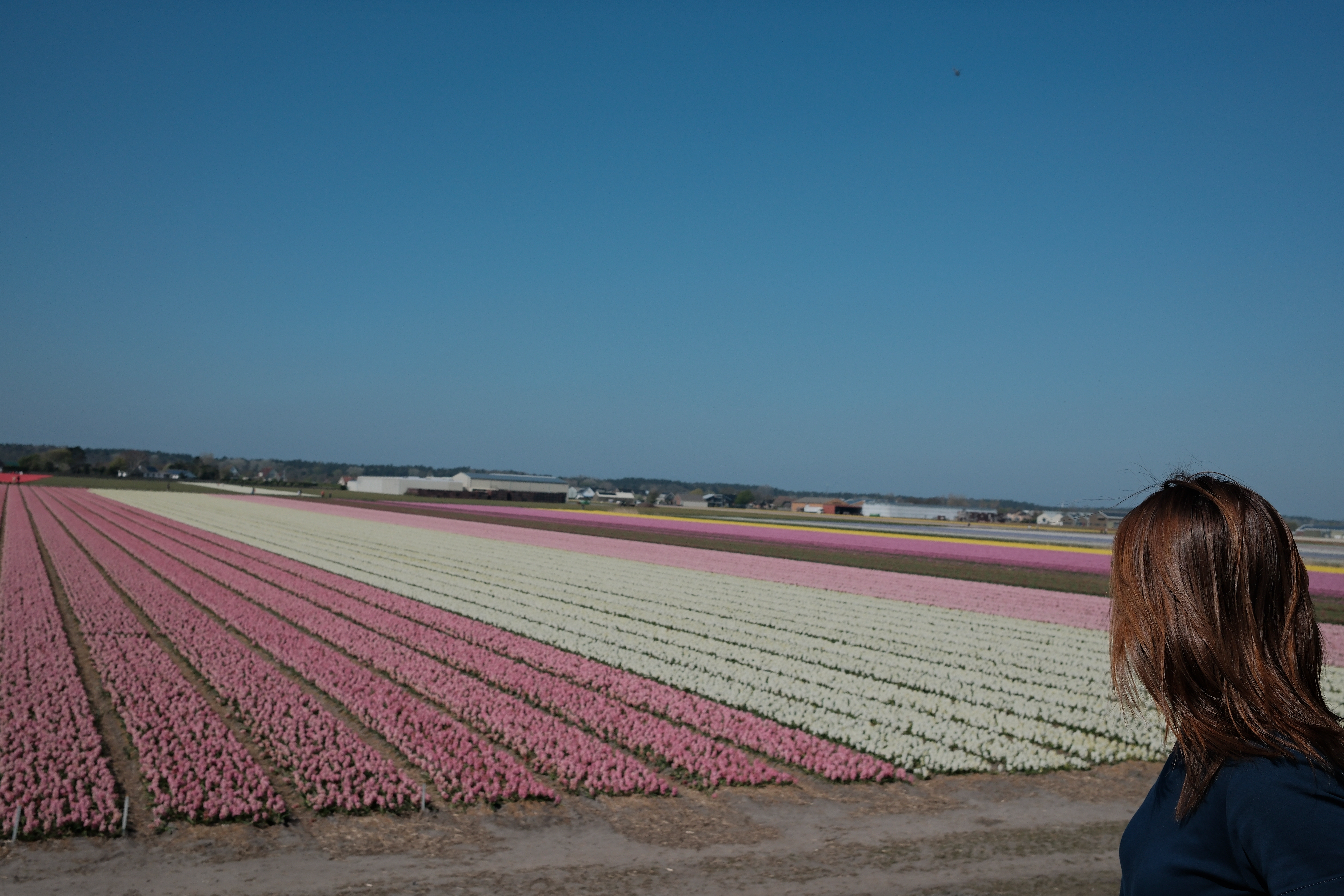 spring-28