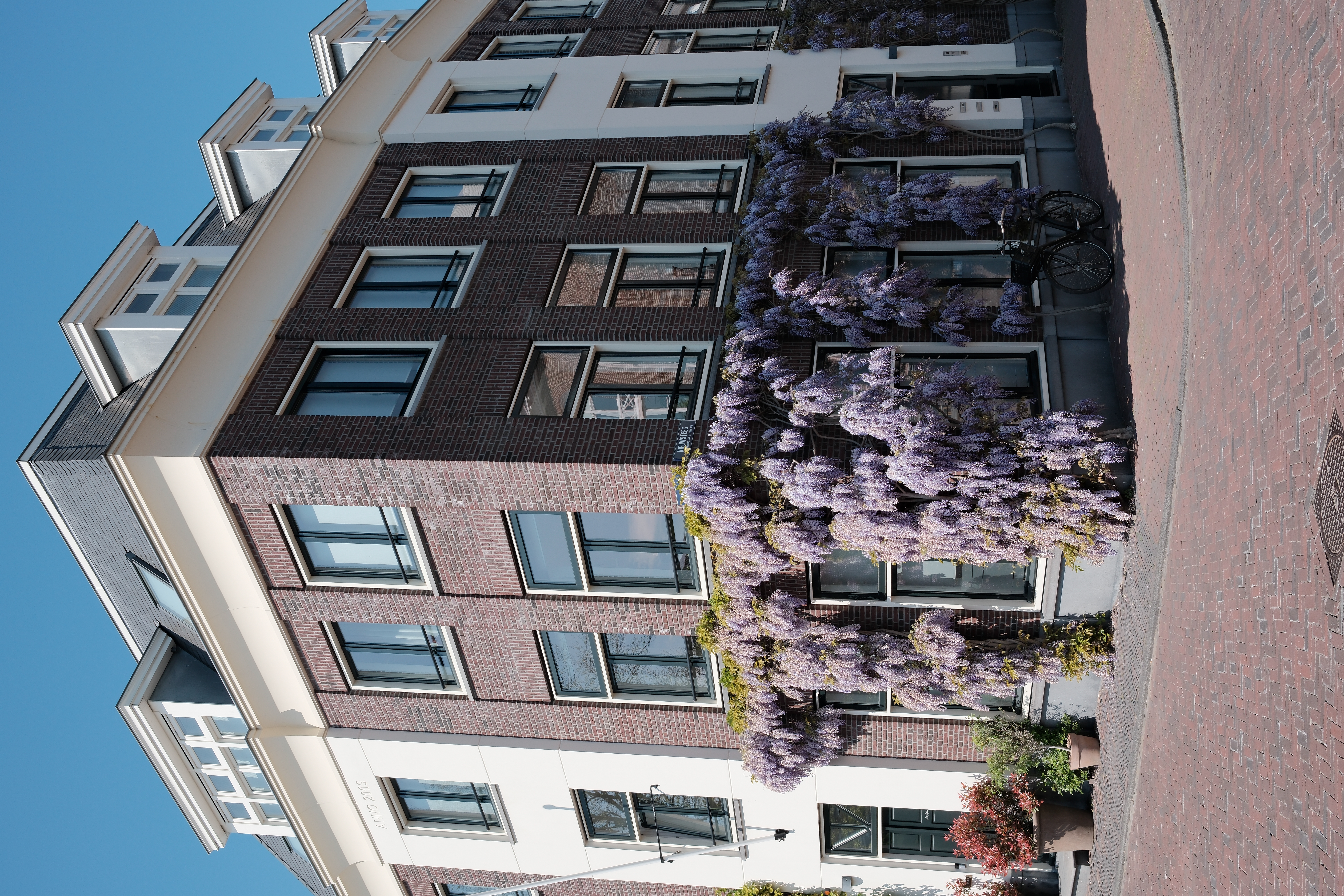 spring-30