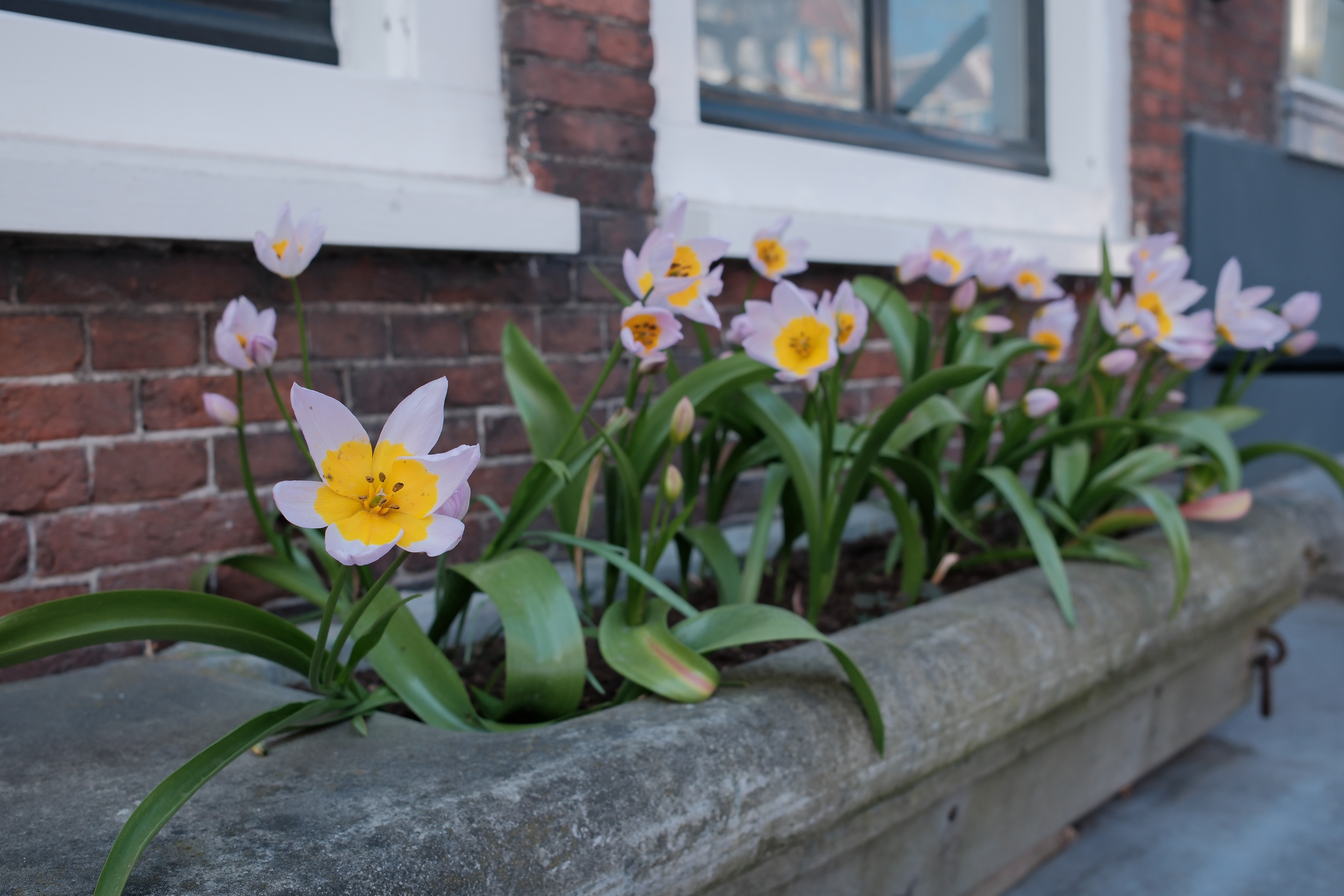 spring-31