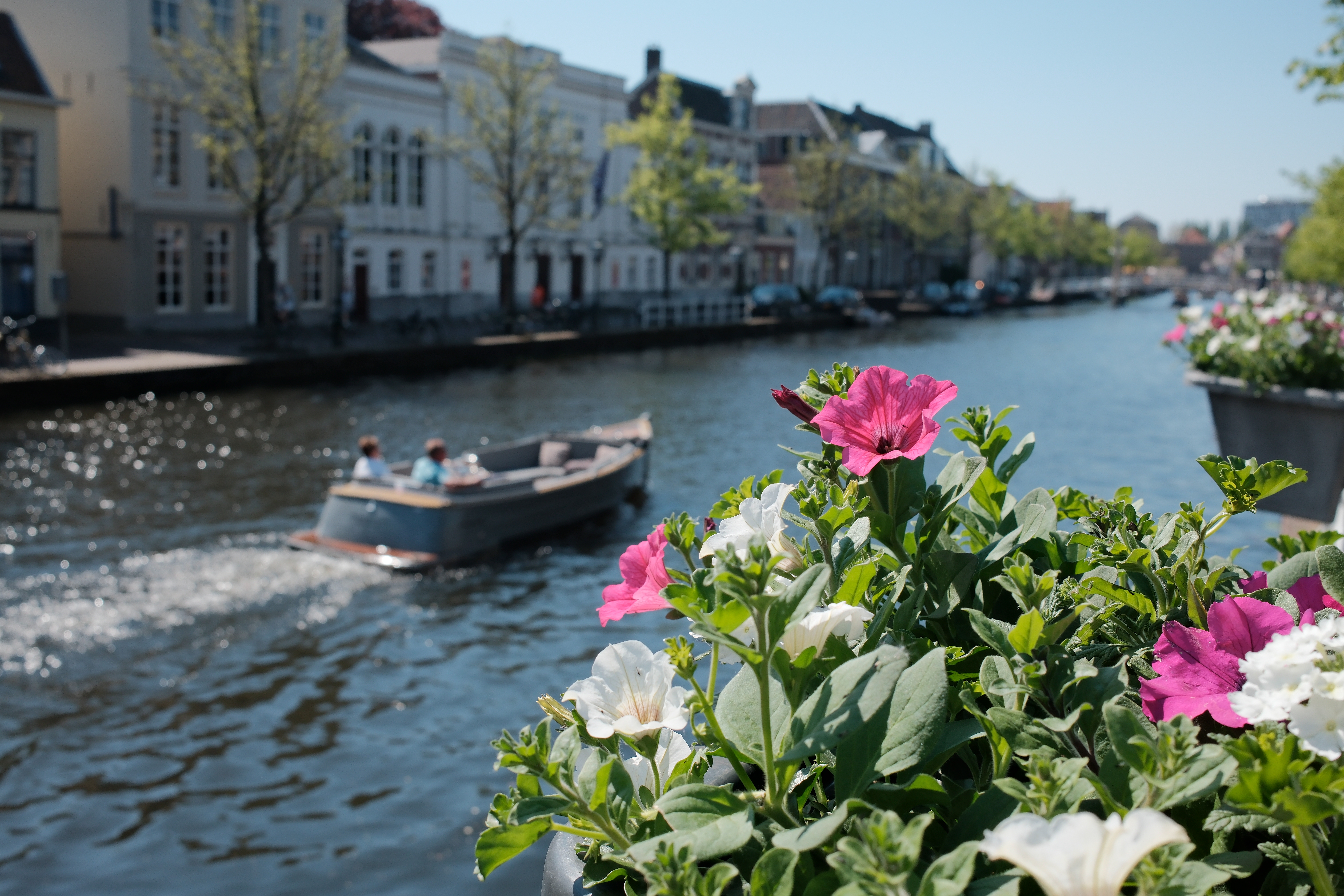 spring-36