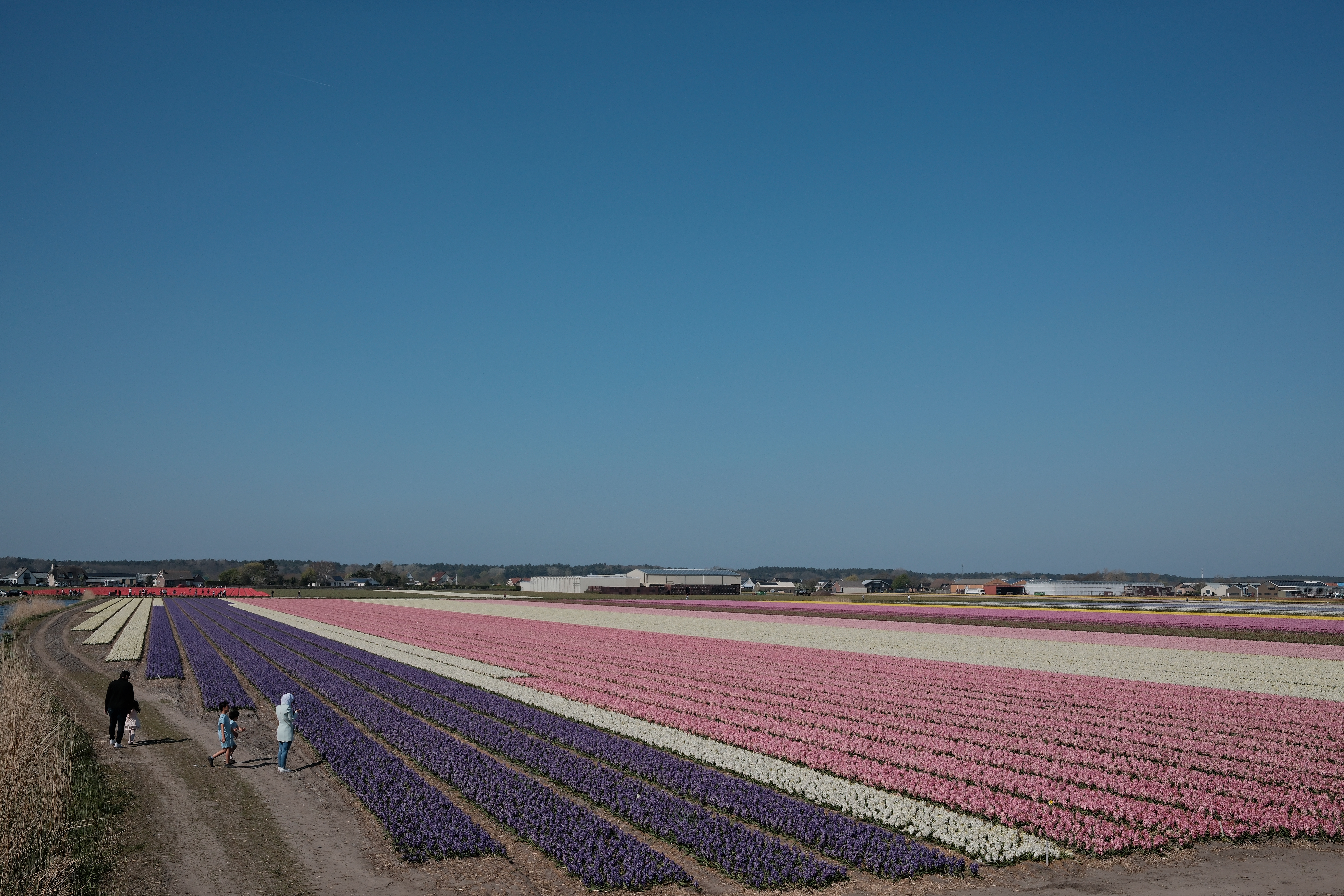 spring-37
