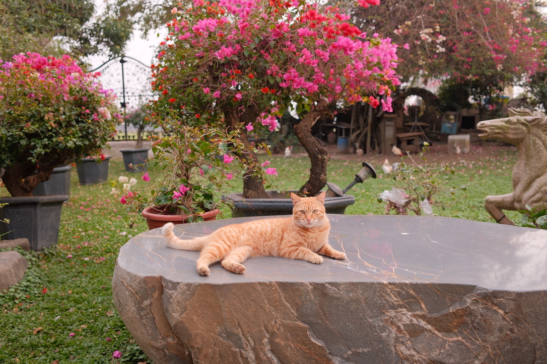 taiwan-2